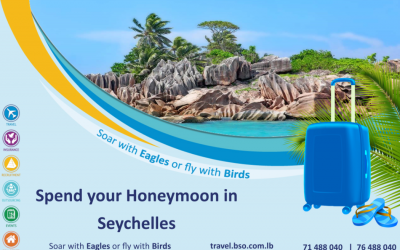 Plan the Honeymoon of your dreams!